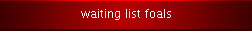waiting list foals