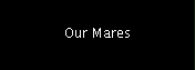 Our Mares